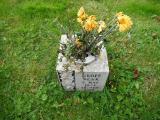 image of grave number 279819
